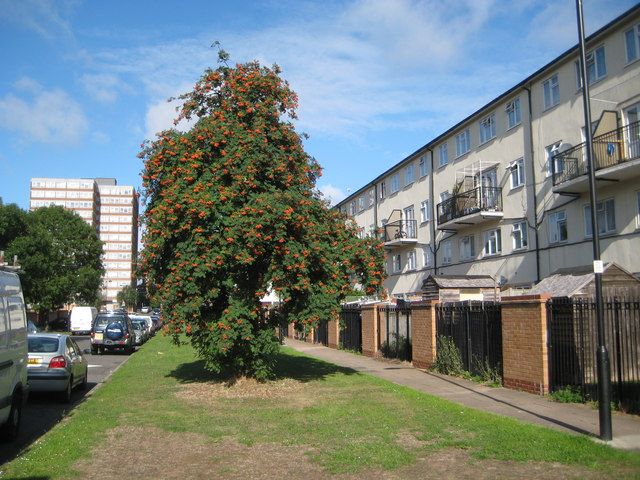 Golf Links estate image