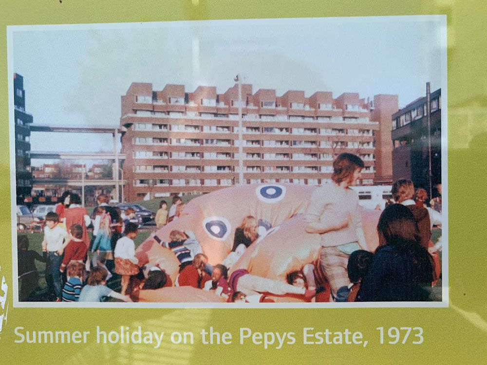 Pepys estate
